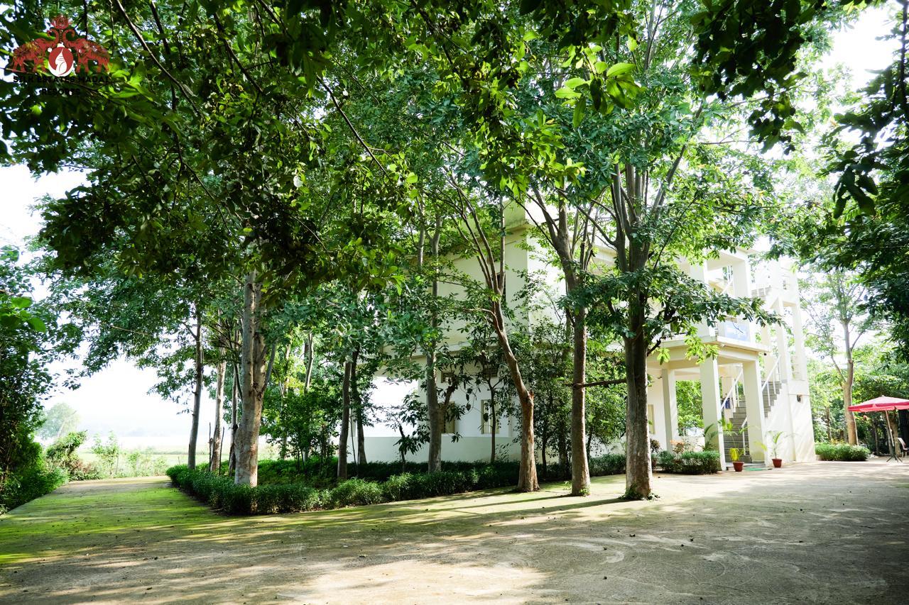 Silk Estates gallery frame 7