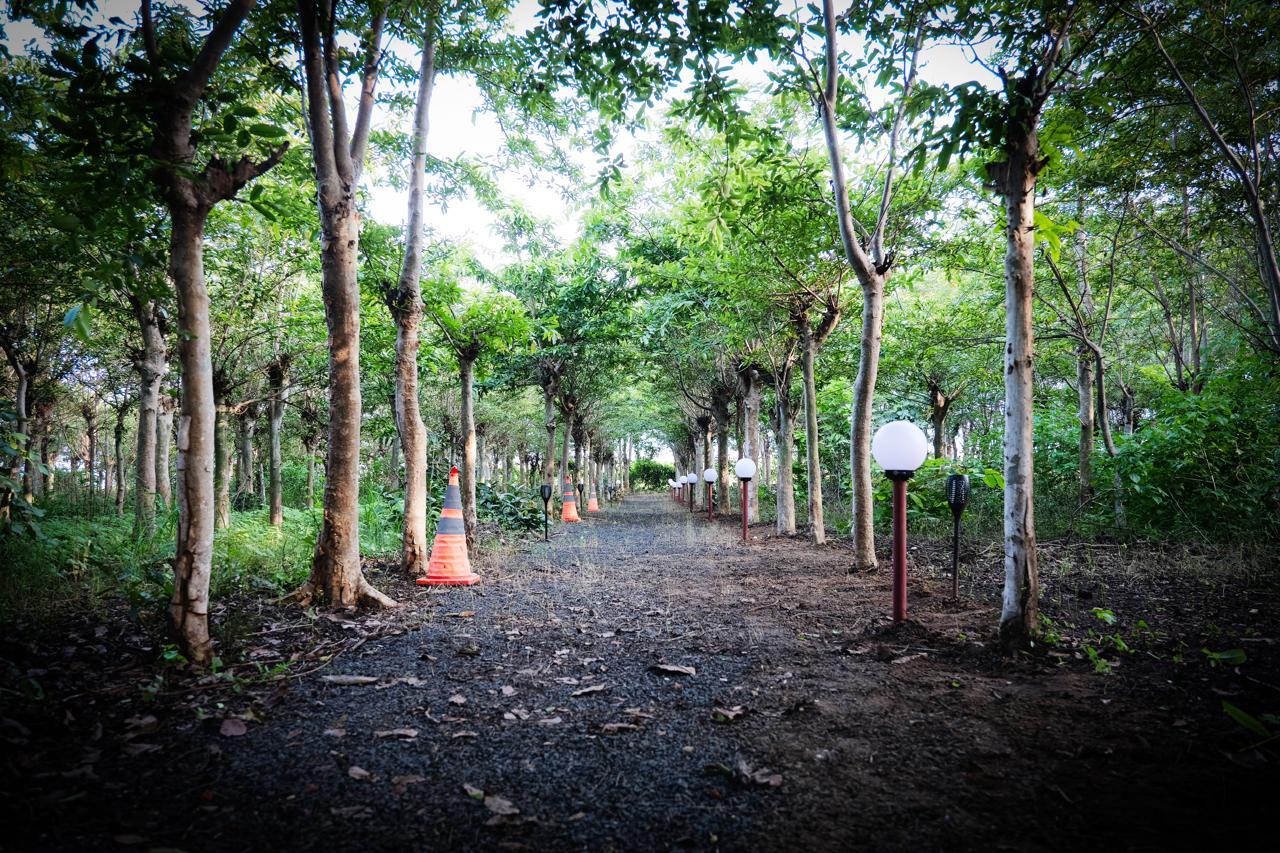 Silk Estates gallery frame 14