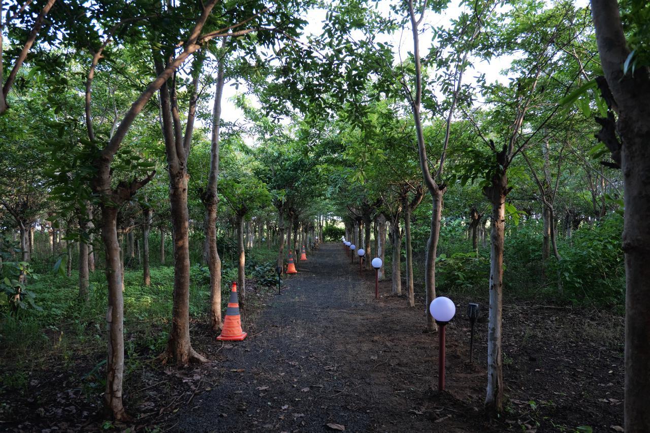 Silk Estates gallery frame 15