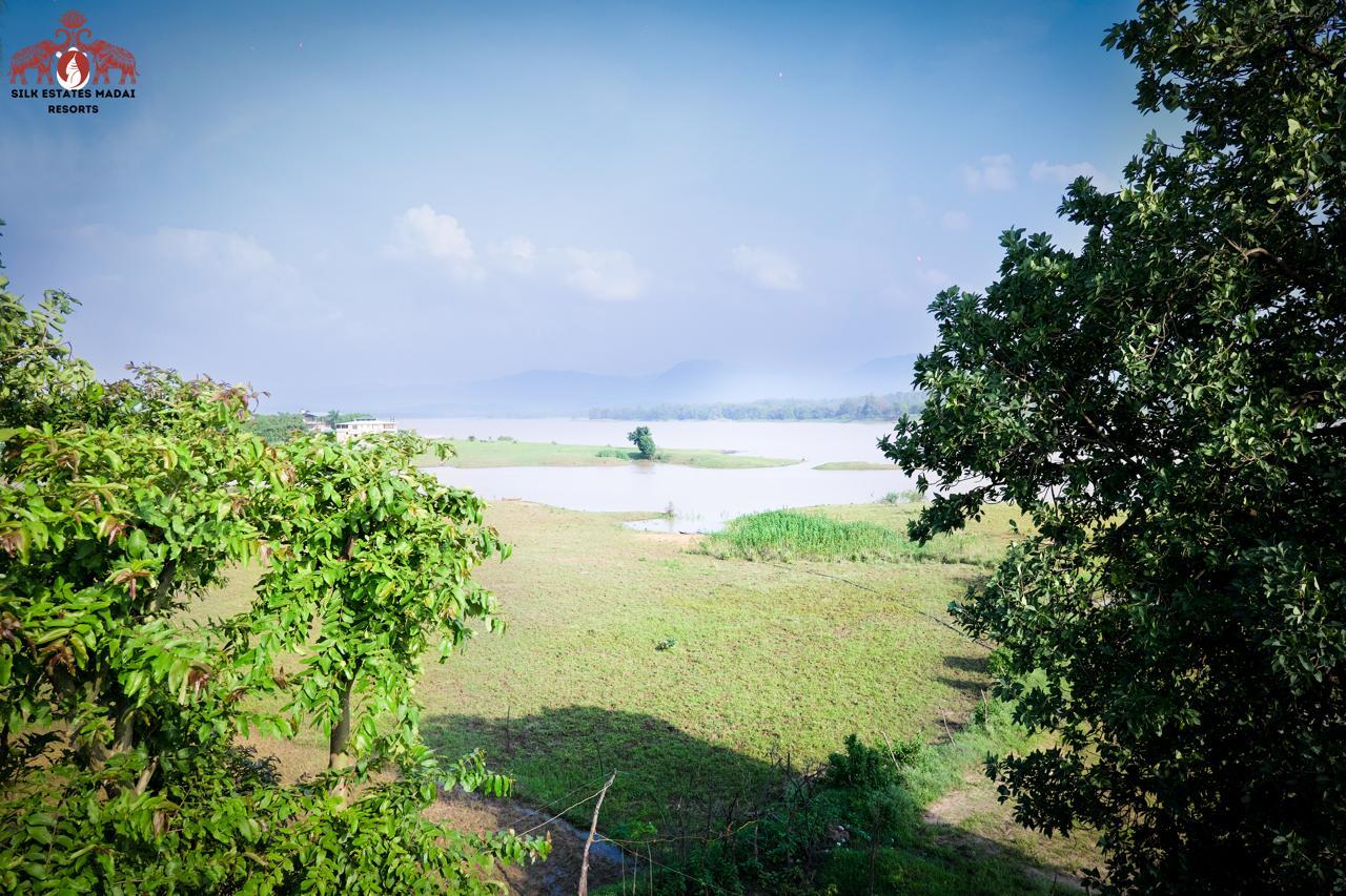 Silk Estates gallery frame 26